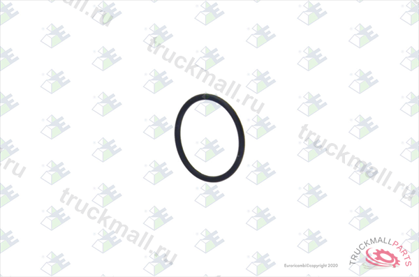 КОЛЬЦО КПП - 95.53.1009