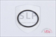 SLP - OR-513
