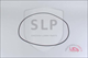 SLP - OR-700824