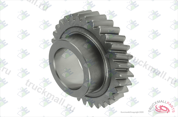 Gear 4th Speed 31 T - 95.53.0882