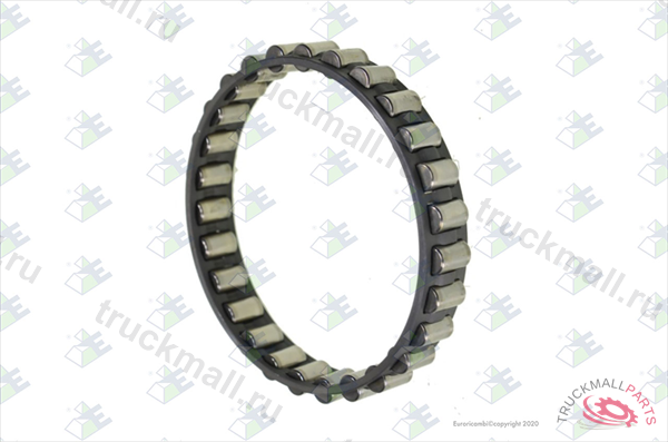 NEEDLE BEAR. 86X102X182 - 98530495