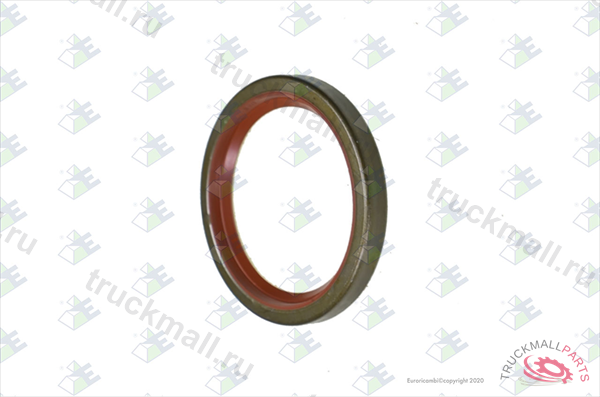 Сальник 709010 0634310648/ Euroricambi - 95.53.1920