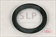 SLP - EPL-846