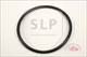 SLP - OR-481